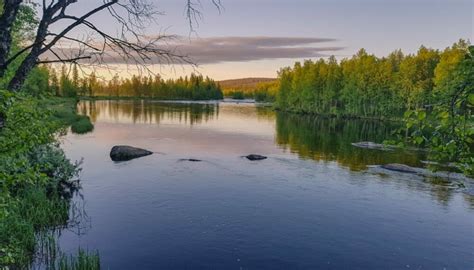 sallan yhteismetsä|Etusivu